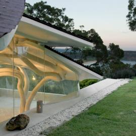 Undercurrent Architects：树叶形房子