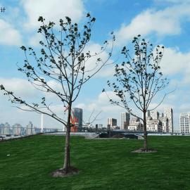 尼塔尼塔大型景观和建筑设计案例欣赏