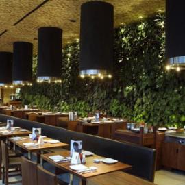 Cherem Serrano Arquitectura：El Japonez 餐馆