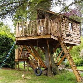 亚马逊树屋公司：树屋创意设计