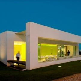 葡萄牙银杏树酒吧