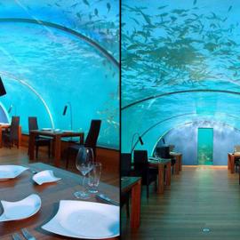 别具风情水族馆