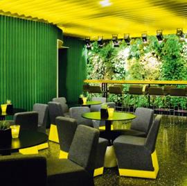 绿色的瑞典雨林餐厅