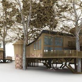 英国的第二课堂--树屋