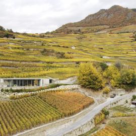 位于Valais的一组别墅设计