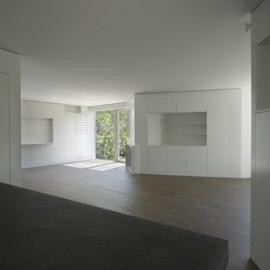 lrs变形别墅设计