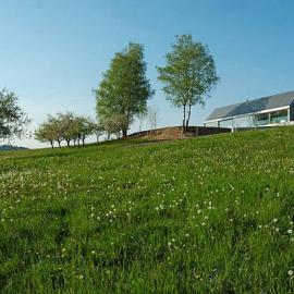 bevk perović arhitekti 住宅设计