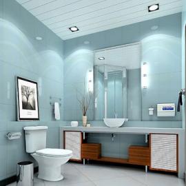 经典的卫生间设计欣赏