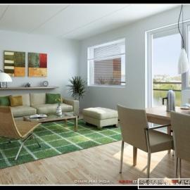 Hoa Dinh 室内设计