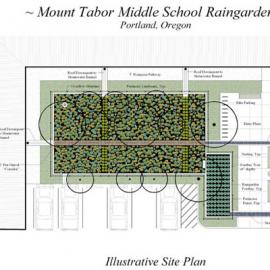 波特兰Mount Tabor中学Rain花园