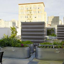 旧金山Curran House低收入房屋