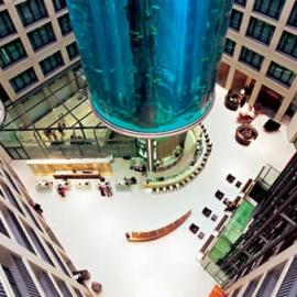 世界最大的室内水族圆柱