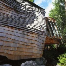 大自然里隐逸的森林小屋