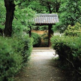 日本的一组东京城游照