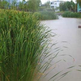 作品欣赏：土人又获美国ASLA景观设计大奖