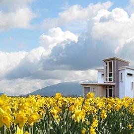 Place houses 舒适的现代居室设计