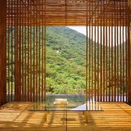 居室设计新方向----竹长廊