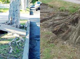 新型环艺橡胶地砖