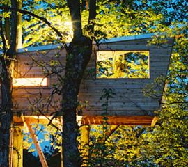 树上小屋反璞归真