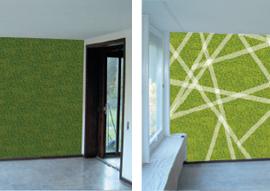 德国grassland公司为我们打造的室内草原