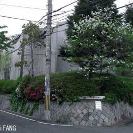 安藤忠雄作品---光之教堂