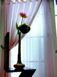 秋风掀起一帘幽梦