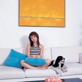 组图欣赏：李湘兼具有中西风格的小楼设计