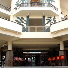 七彩神仙鱼 带你游走长隆酒店（一）