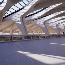 Santiago Calatrava作品－里昂国际机场