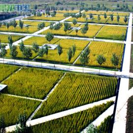 ASLA2005年专业奖项揭晓 两中国项目获大奖（图）
