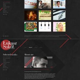 波兰lukaszsokol网页作品欣赏