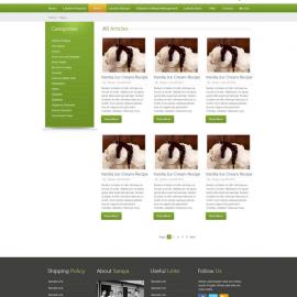 印度尼西亚faizalqurni简约风格网站作品