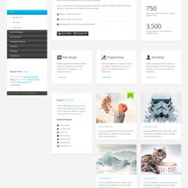 OrangeIdea网站作品整理