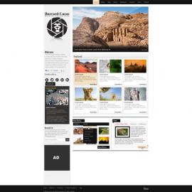 Firechameleon网站界面作品