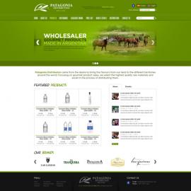 秘鲁krisalva web设计作品(三)