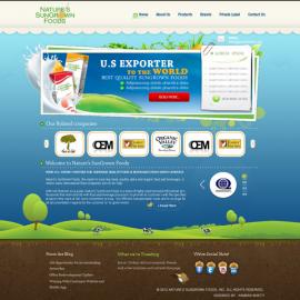 荷兰kamranbhatti44精彩网页作品集(二)