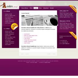 波兰jcd-pl简洁网格网页作品