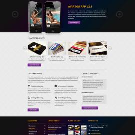 哈萨克斯坦sadykov简洁大气风格网页作品