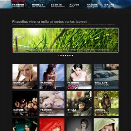 印度AryaInk网页作品欣赏