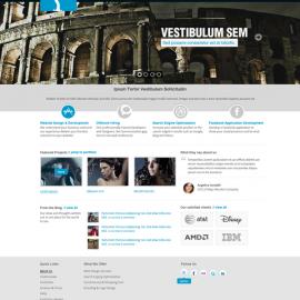 巴基斯坦Gayab网页作品整理