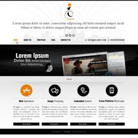 巴基斯坦MAbeer网站作品整理(二)