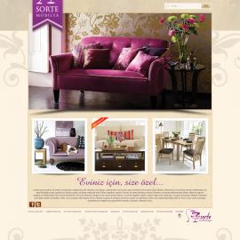 土耳其AjansPaprika网页作品