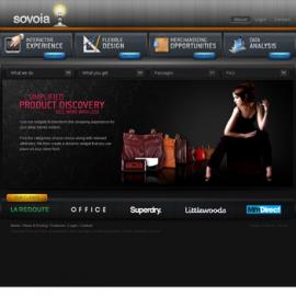 巴基斯坦Pixelzeesh企业网站设计作品(三)