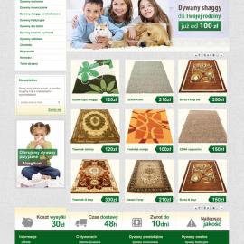 波兰ro183清爽风格网页作品