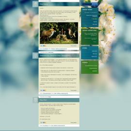 立陶宛shakis web界面作品