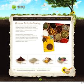 埃及ahmedelzahra web设计作品(二)