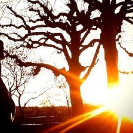 10 款iPhone专属照相特效软件分享