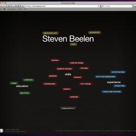 国外简历设计方案欣赏