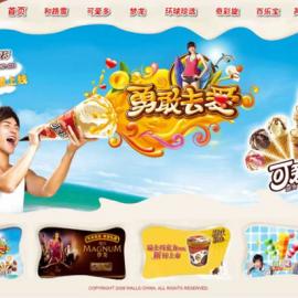 和路雪品牌网站