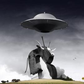 brandstudio酷站欣赏